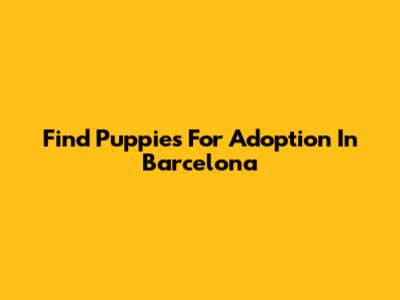 Find Puppies For Adoption In Barcelona